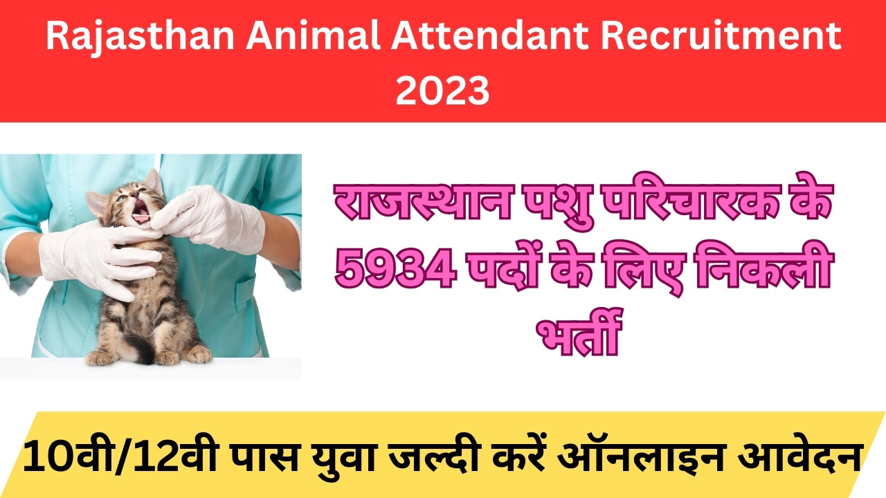 Animal Attendant Recruitment