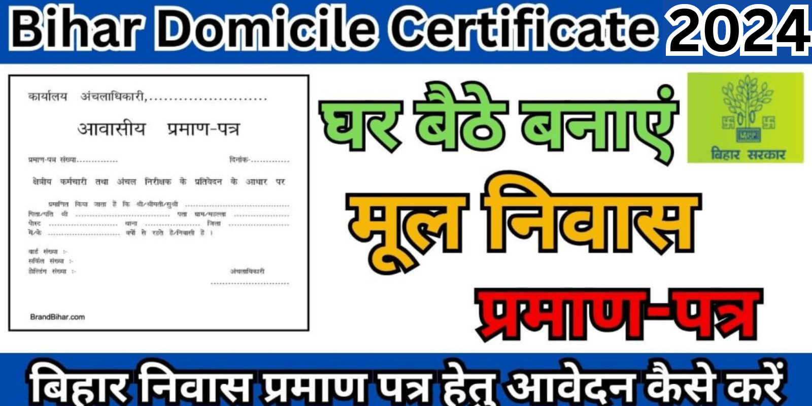Bihar Domicile Certificate 2024